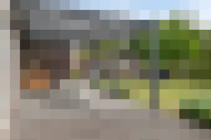 Uithof 6 Kloosterzande thumbnail 43