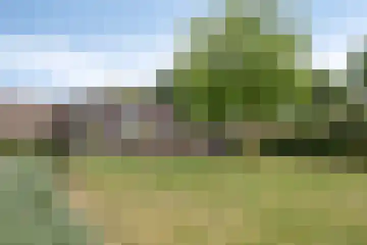 Uithof 6 Kloosterzande thumbnail 45