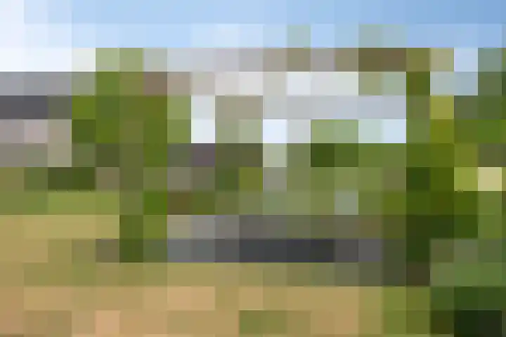 Uithof 6 Kloosterzande thumbnail 47