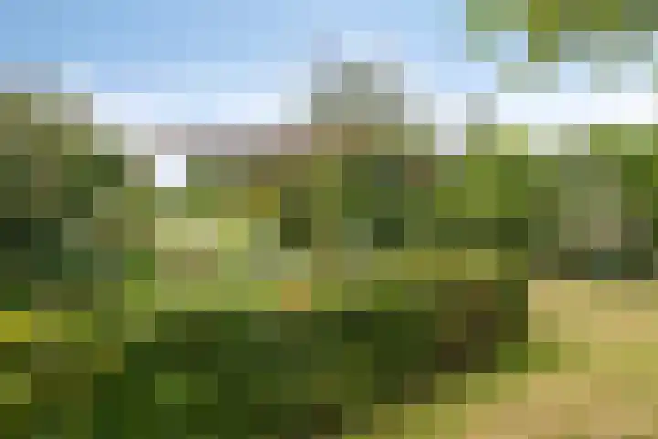 Uithof 6 Kloosterzande thumbnail 48