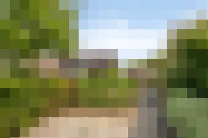 Uithof 6 Kloosterzande thumbnail 49