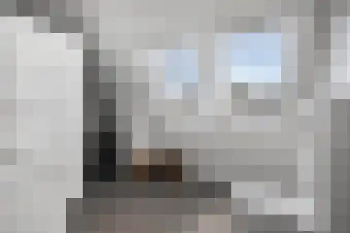 Uithof 6 Kloosterzande thumbnail 5