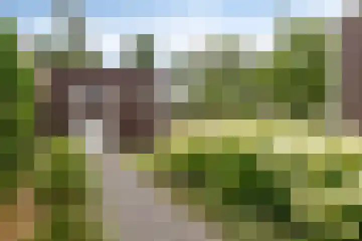 Uithof 6 Kloosterzande thumbnail 50