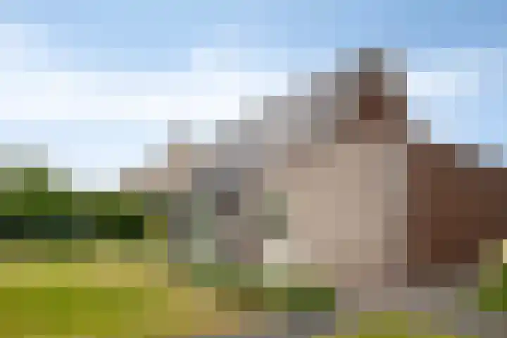 Uithof 6 Kloosterzande thumbnail 53