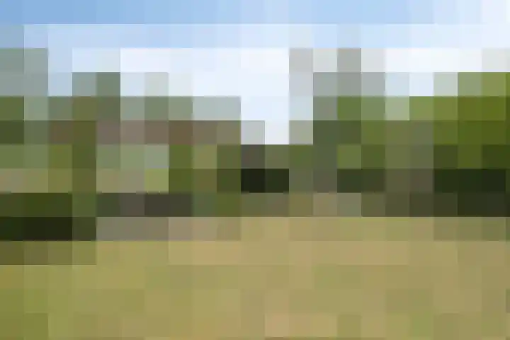 Uithof 6 Kloosterzande thumbnail 6