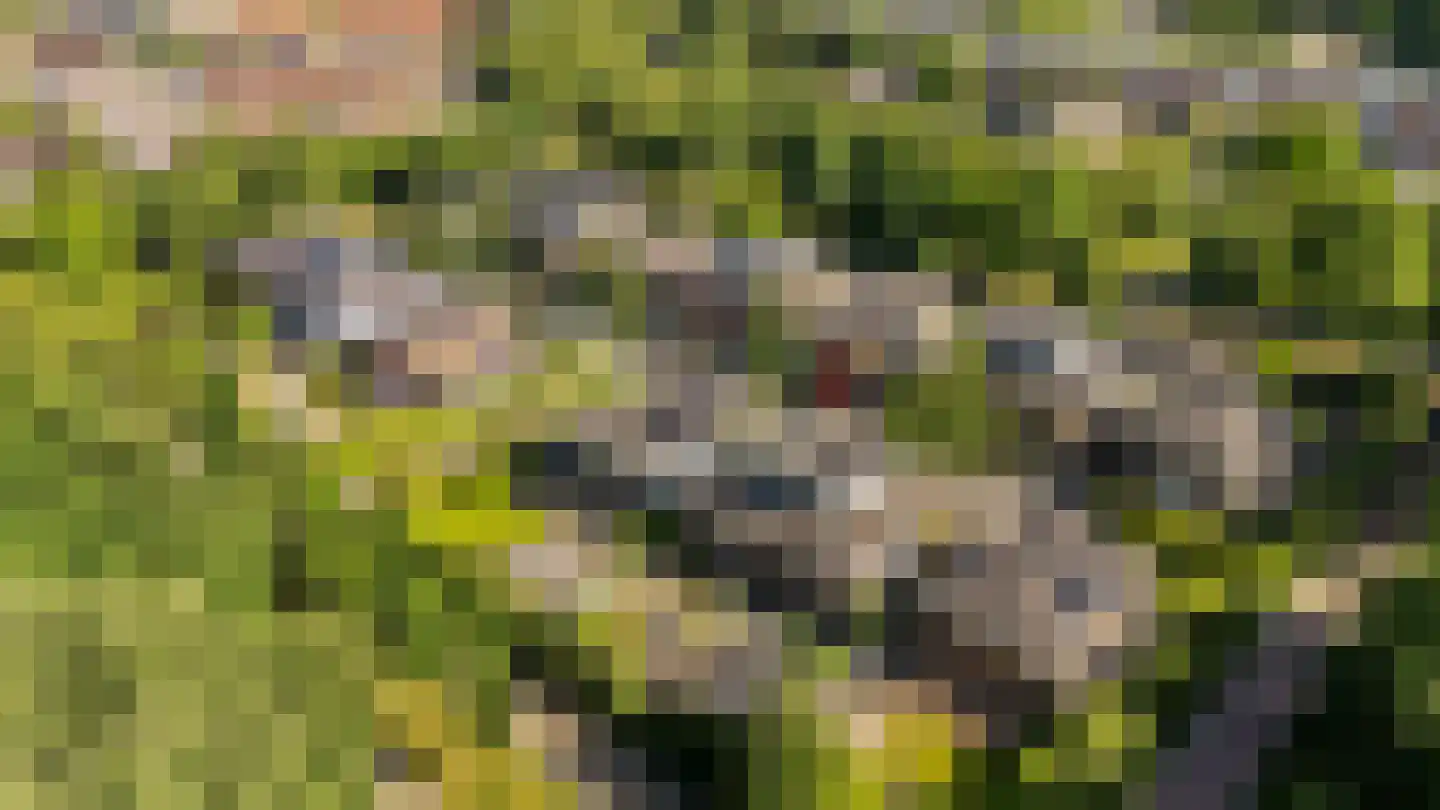 Uithof 7 Almere thumbnail 30