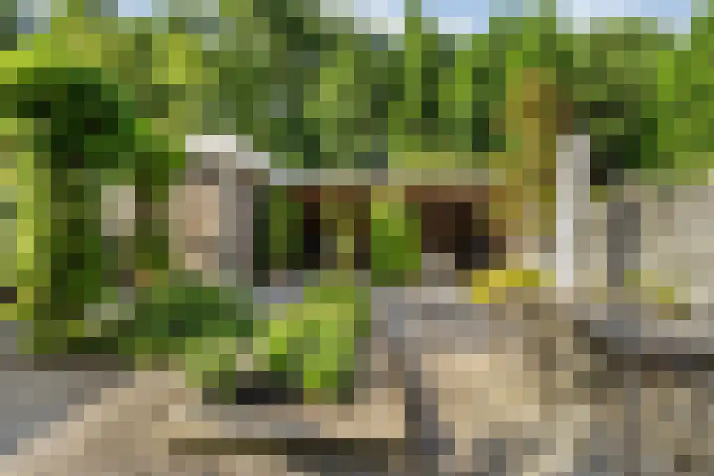Uithof 7 Almere thumbnail 53