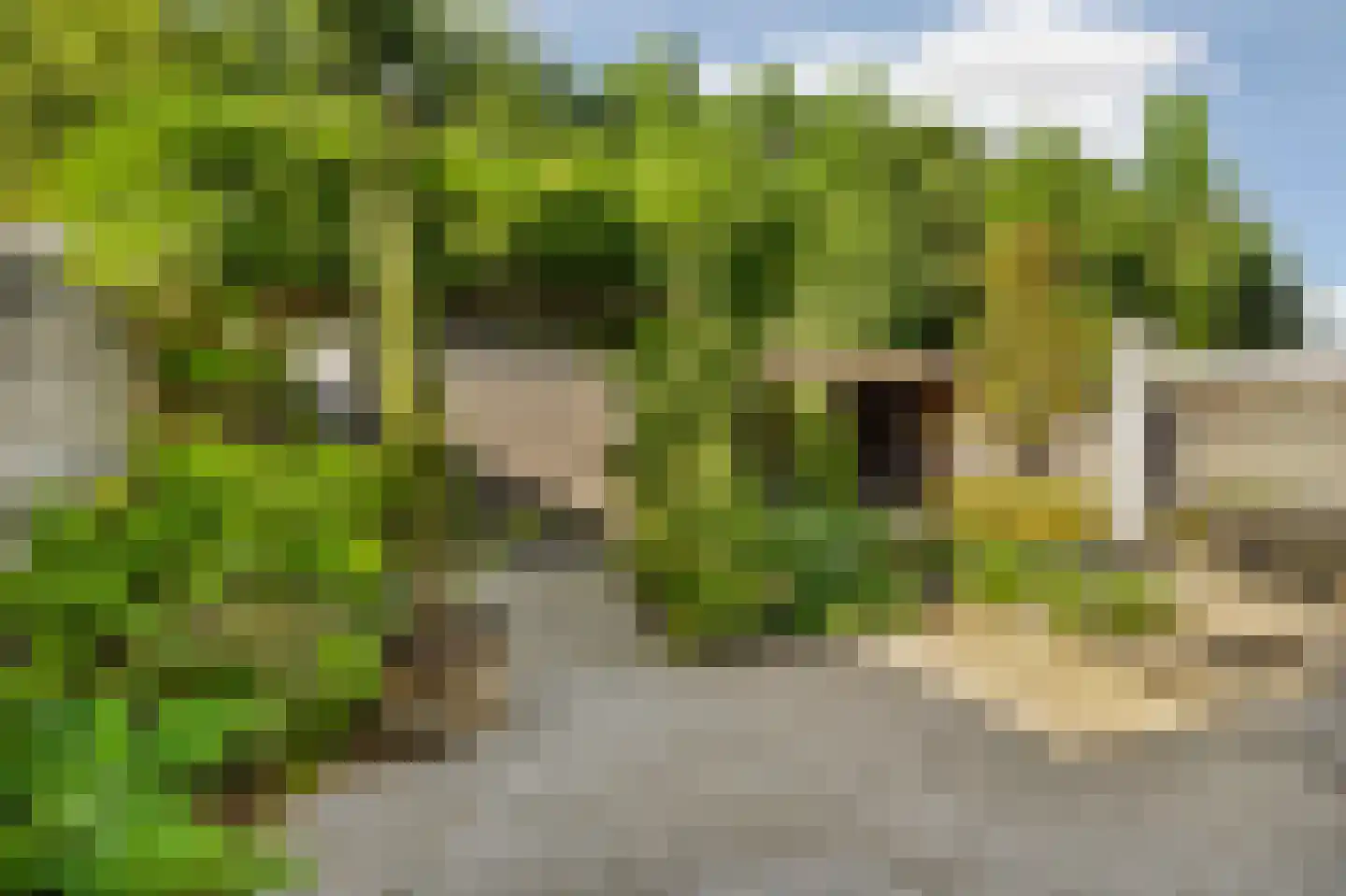 Uithof 7 Almere thumbnail 58