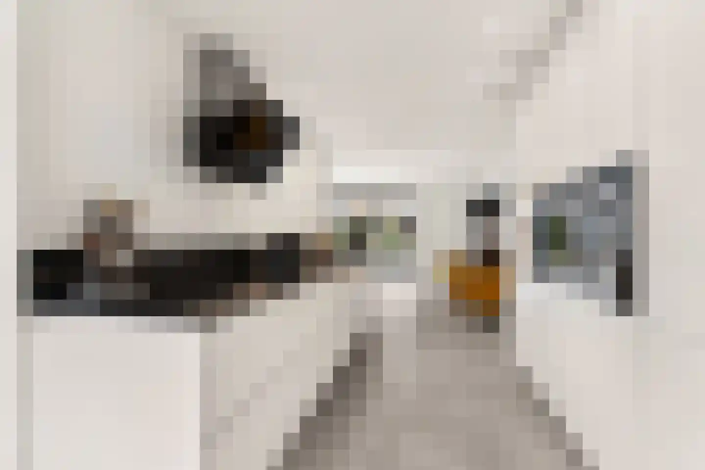 Uithof 7 Almere thumbnail 6
