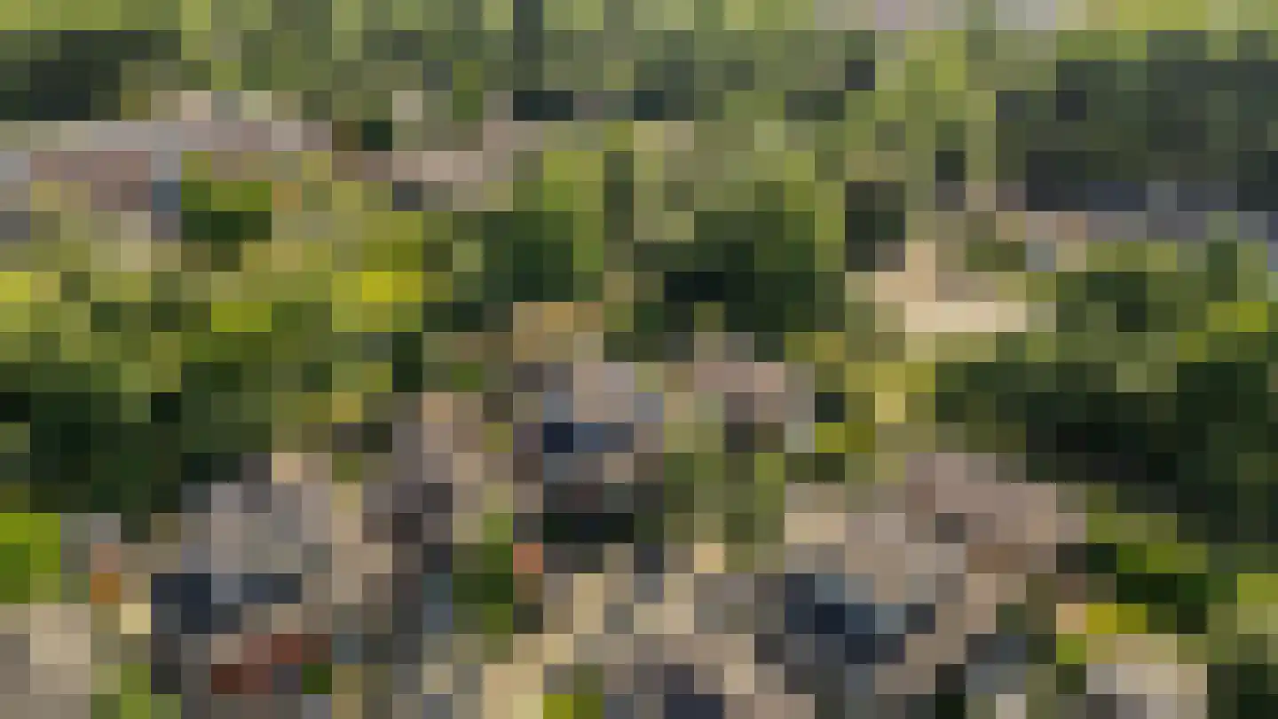 Uithof 7 Almere thumbnail 61