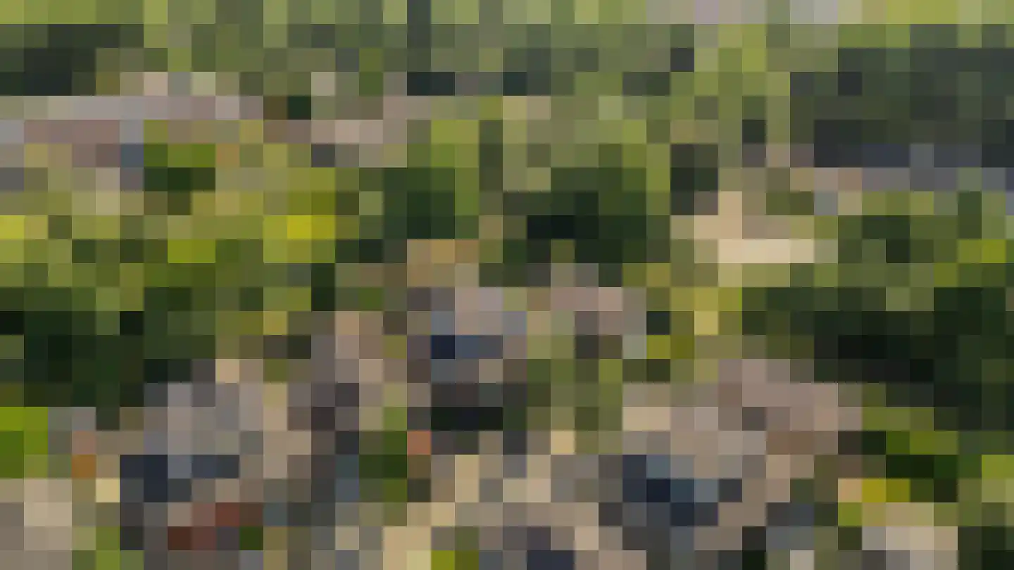 Uithof 7 Almere thumbnail 62