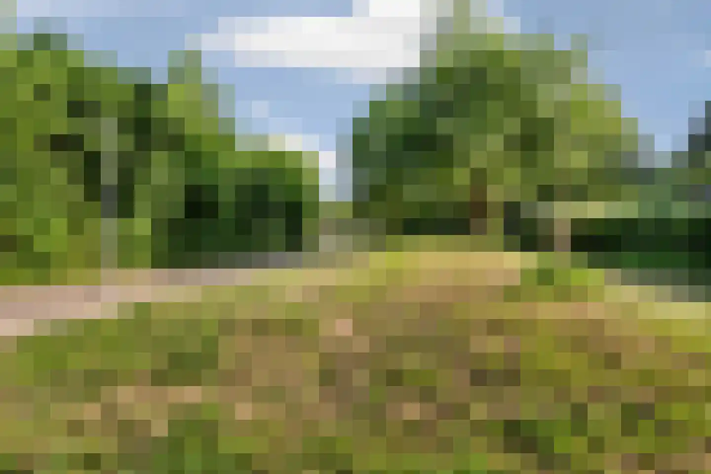 Uithof 7 Almere thumbnail 63