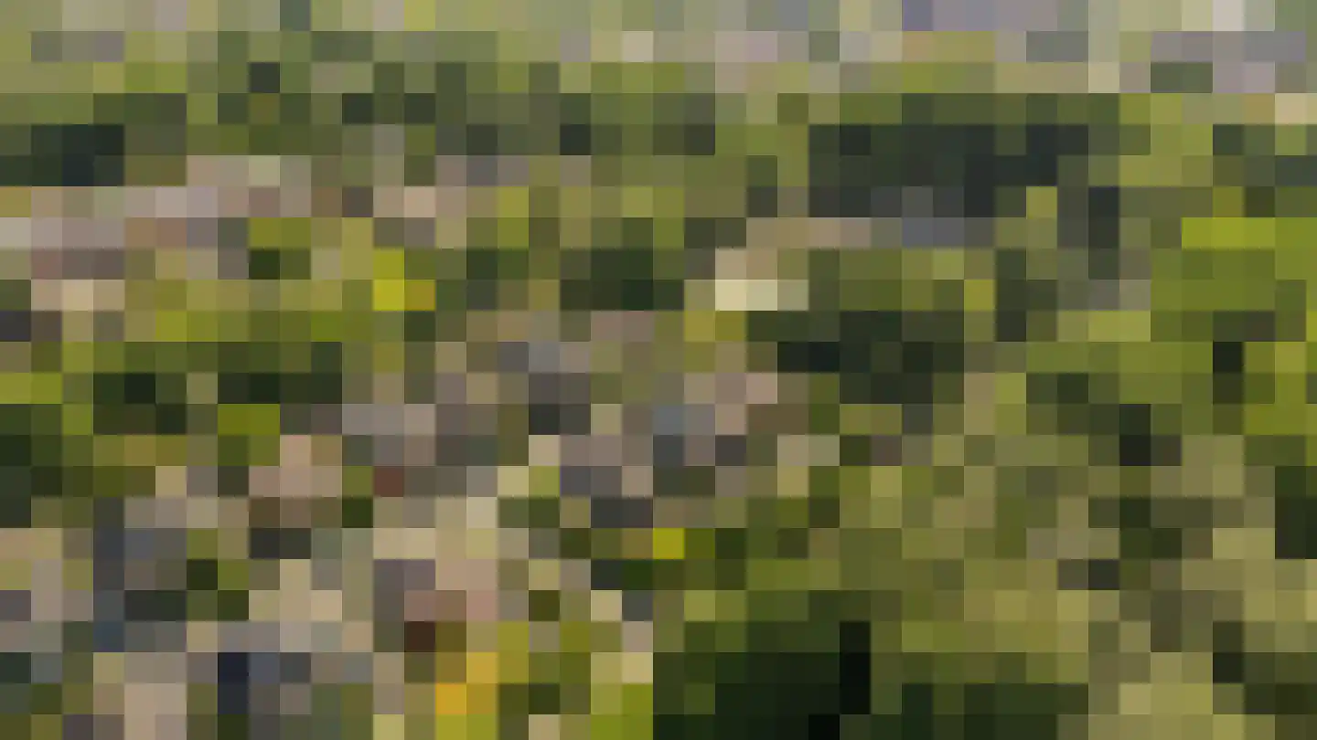 Uithof 7 Almere thumbnail 68