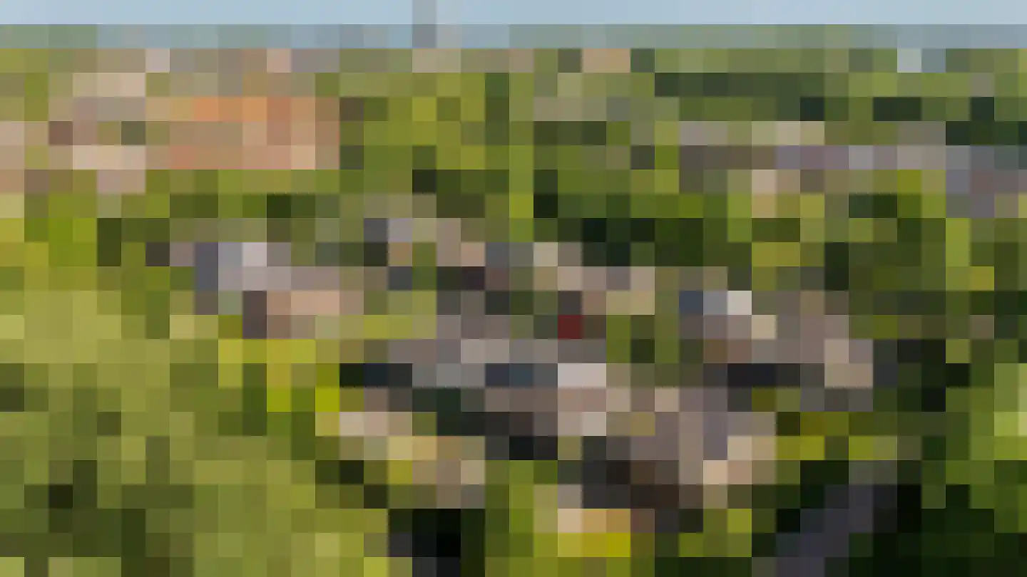 Uithof 7 Almere thumbnail 69