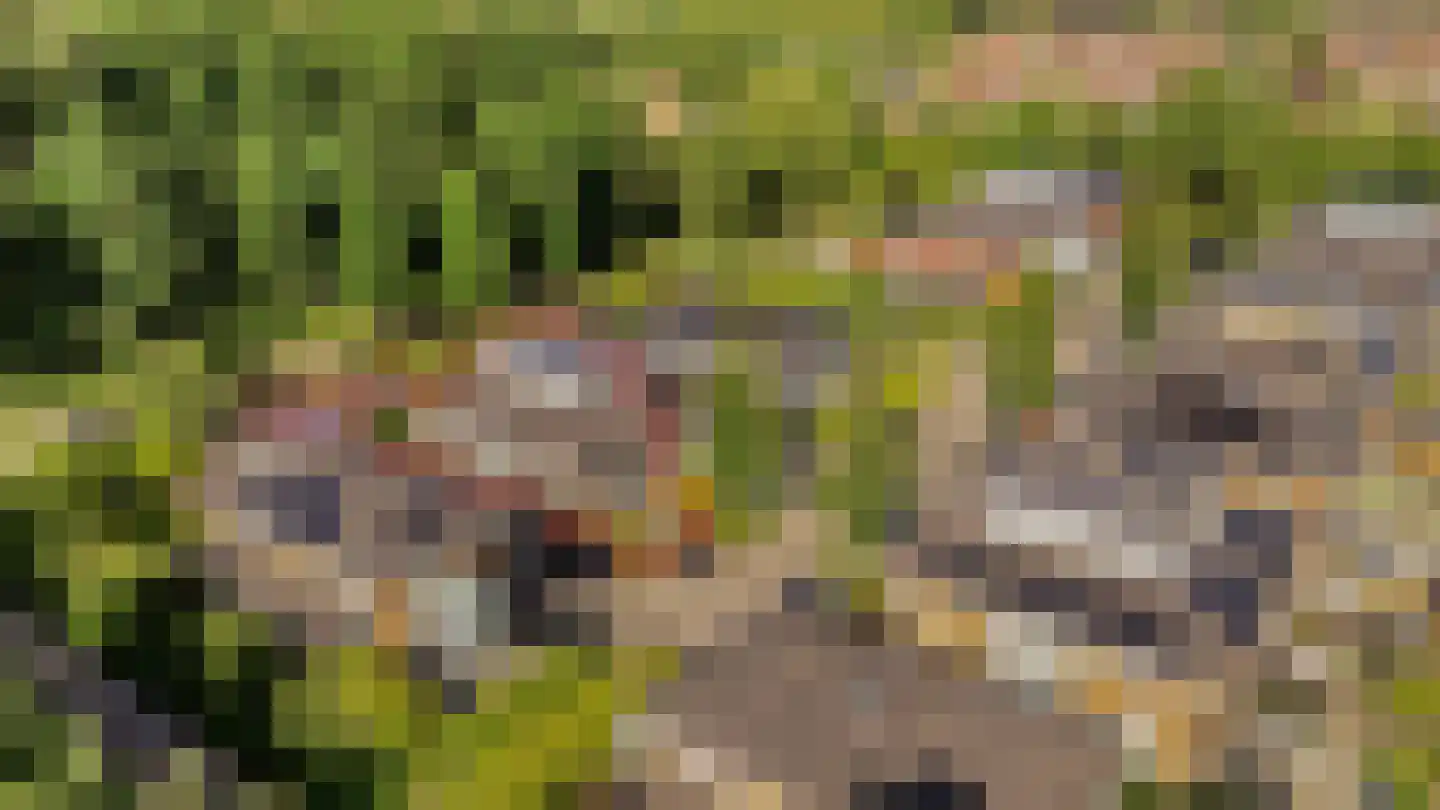 Uithof 7 Almere thumbnail 7