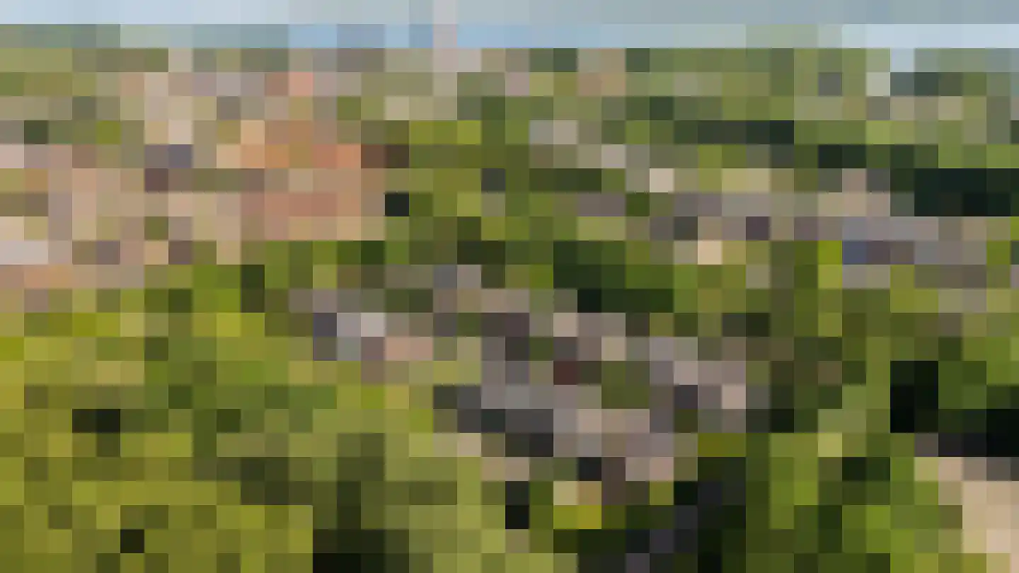 Uithof 7 Almere thumbnail 8