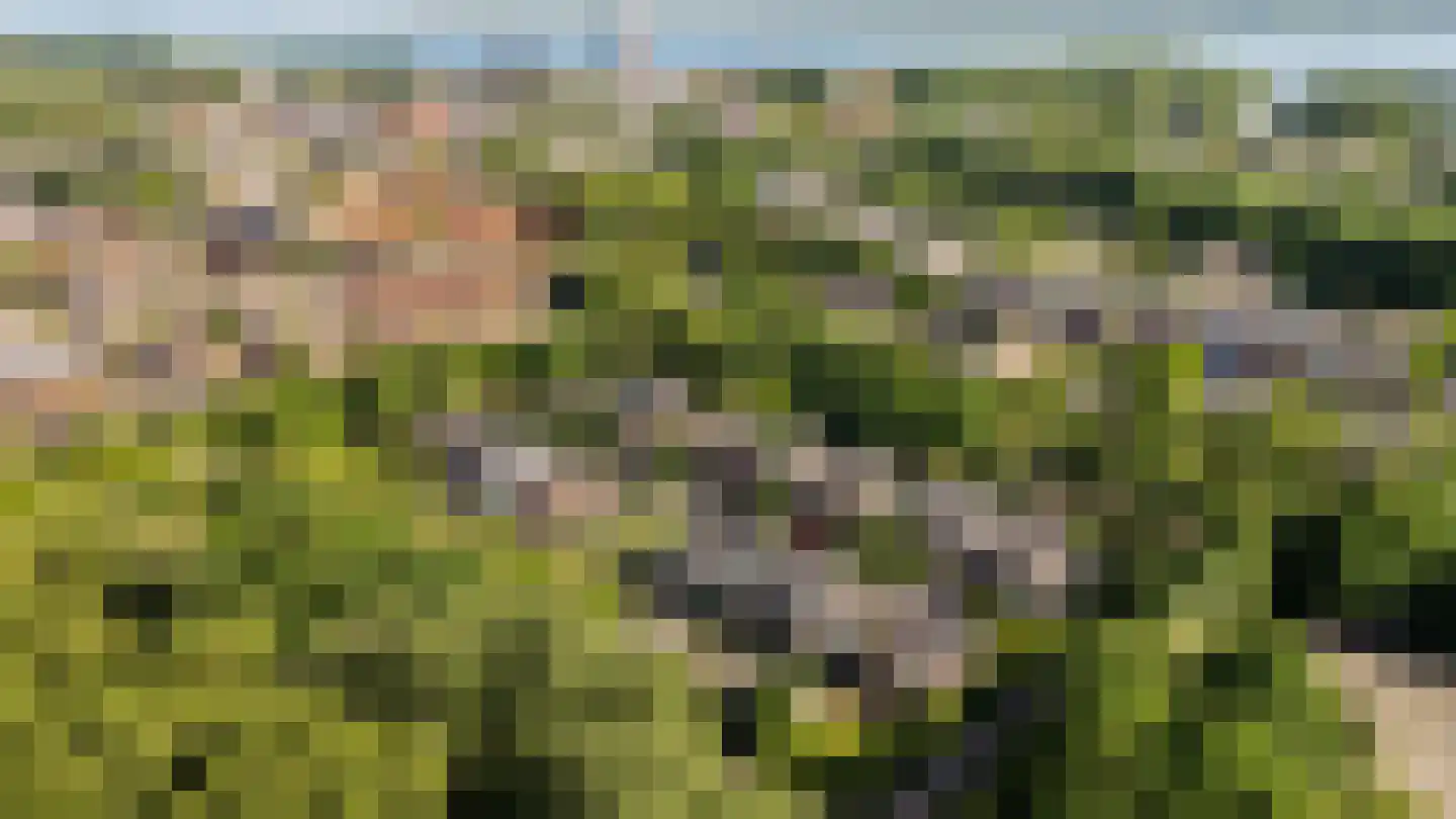 Uithof 7 Almere thumbnail 9