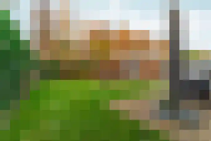 Uithof 8 Almere thumbnail 10