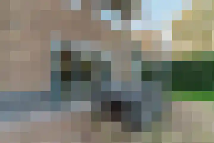 Uithof 8 Almere thumbnail 13
