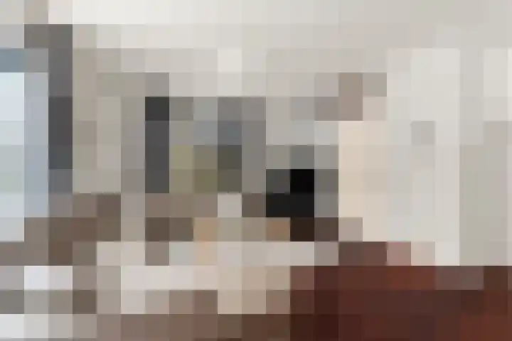 Uithof 8 Almere thumbnail 6