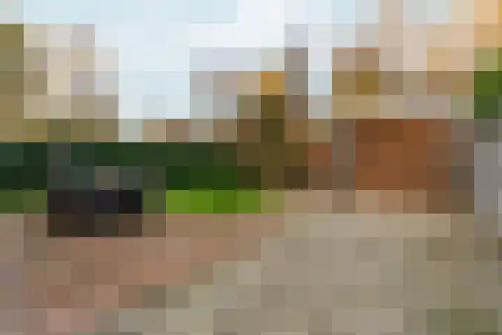 Uithof 8 Almere thumbnail 9