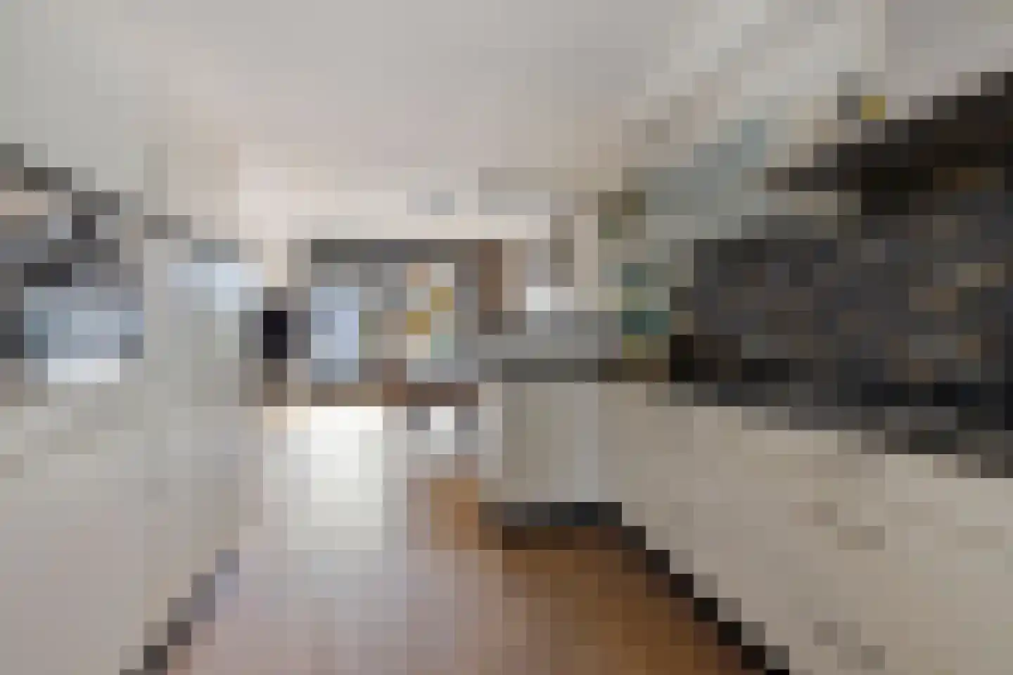 Uithof 8 Hedel thumbnail 11