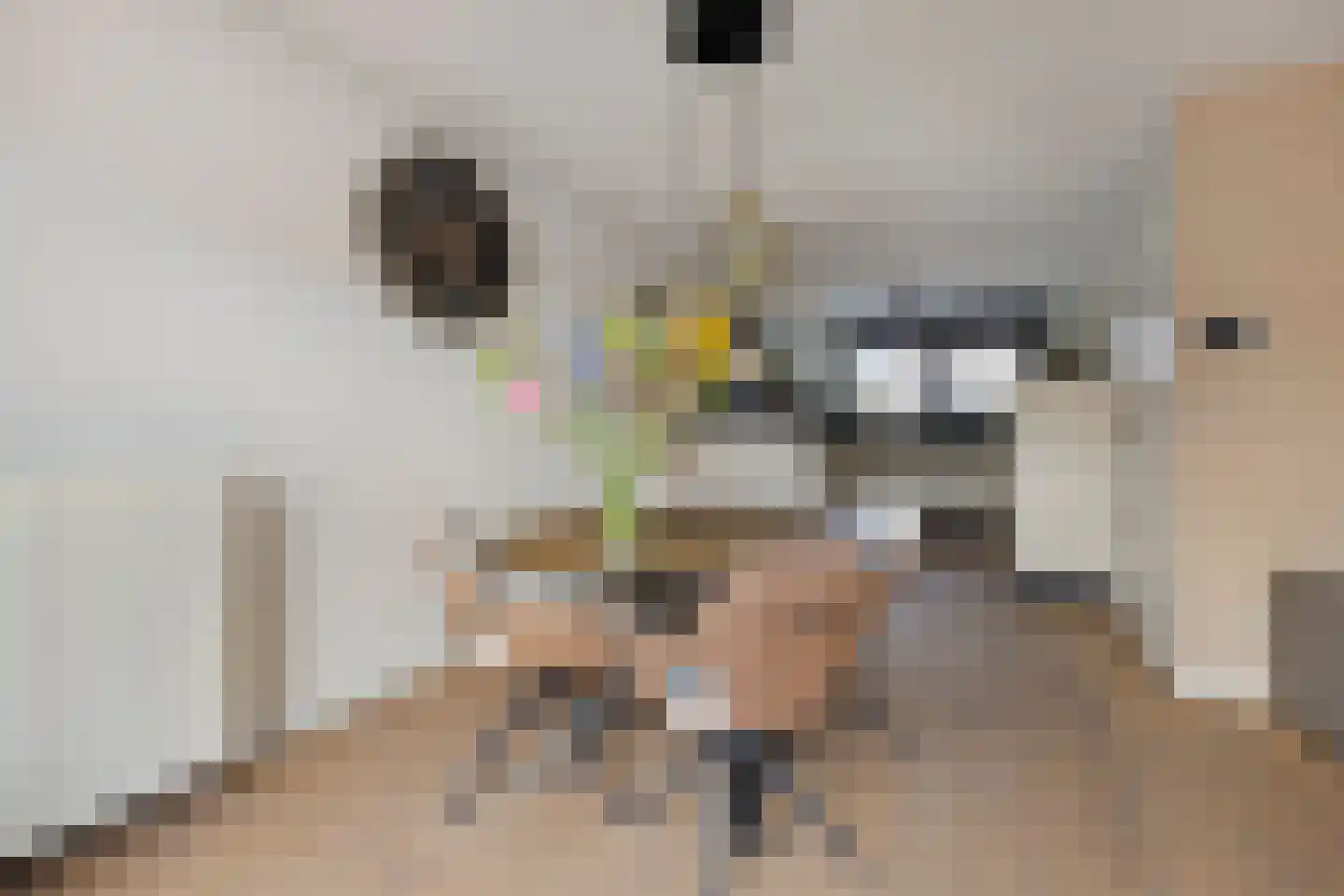 Uithof 8 Hedel thumbnail 12