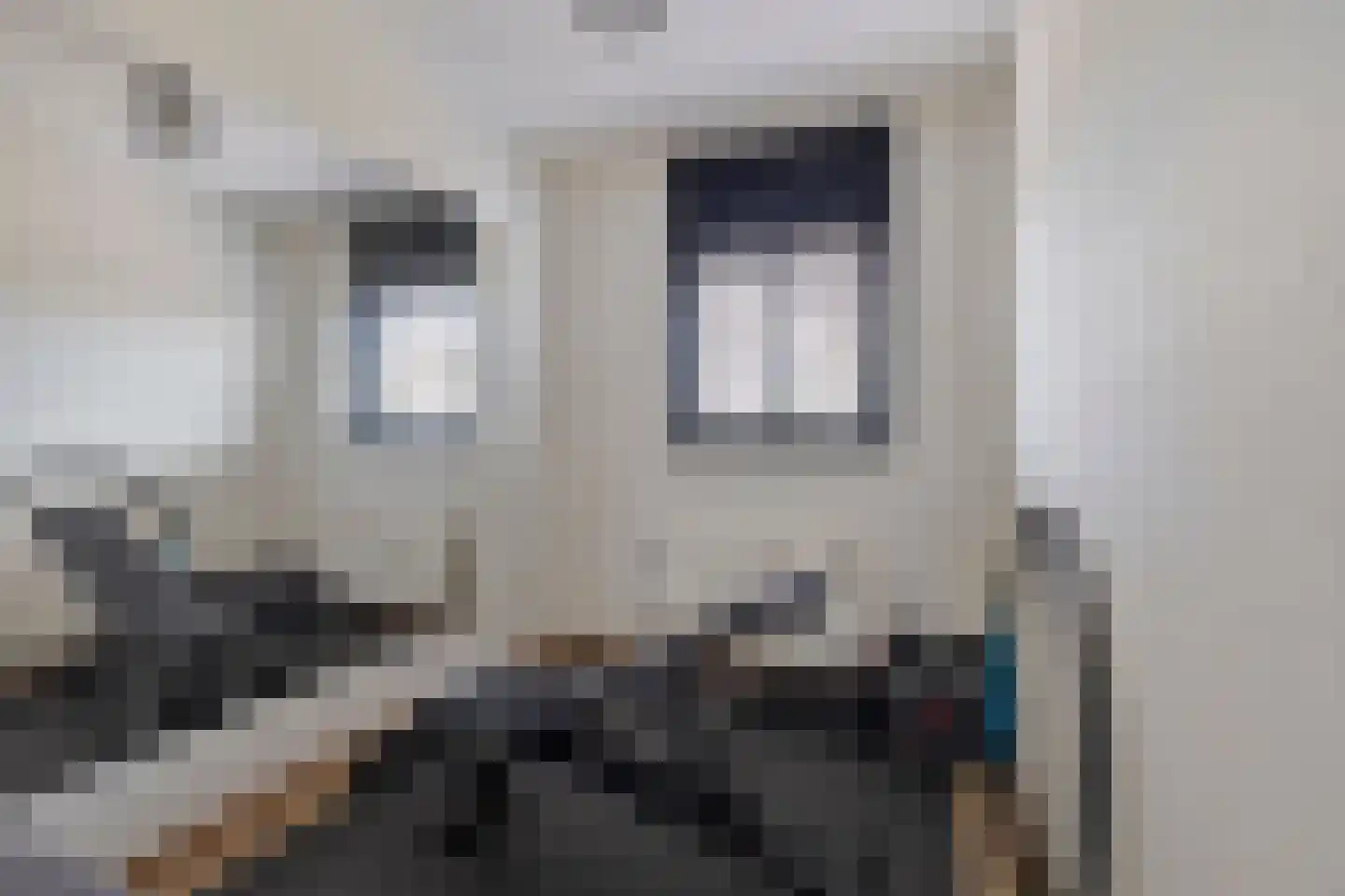 Uithof 8 Hedel thumbnail 19