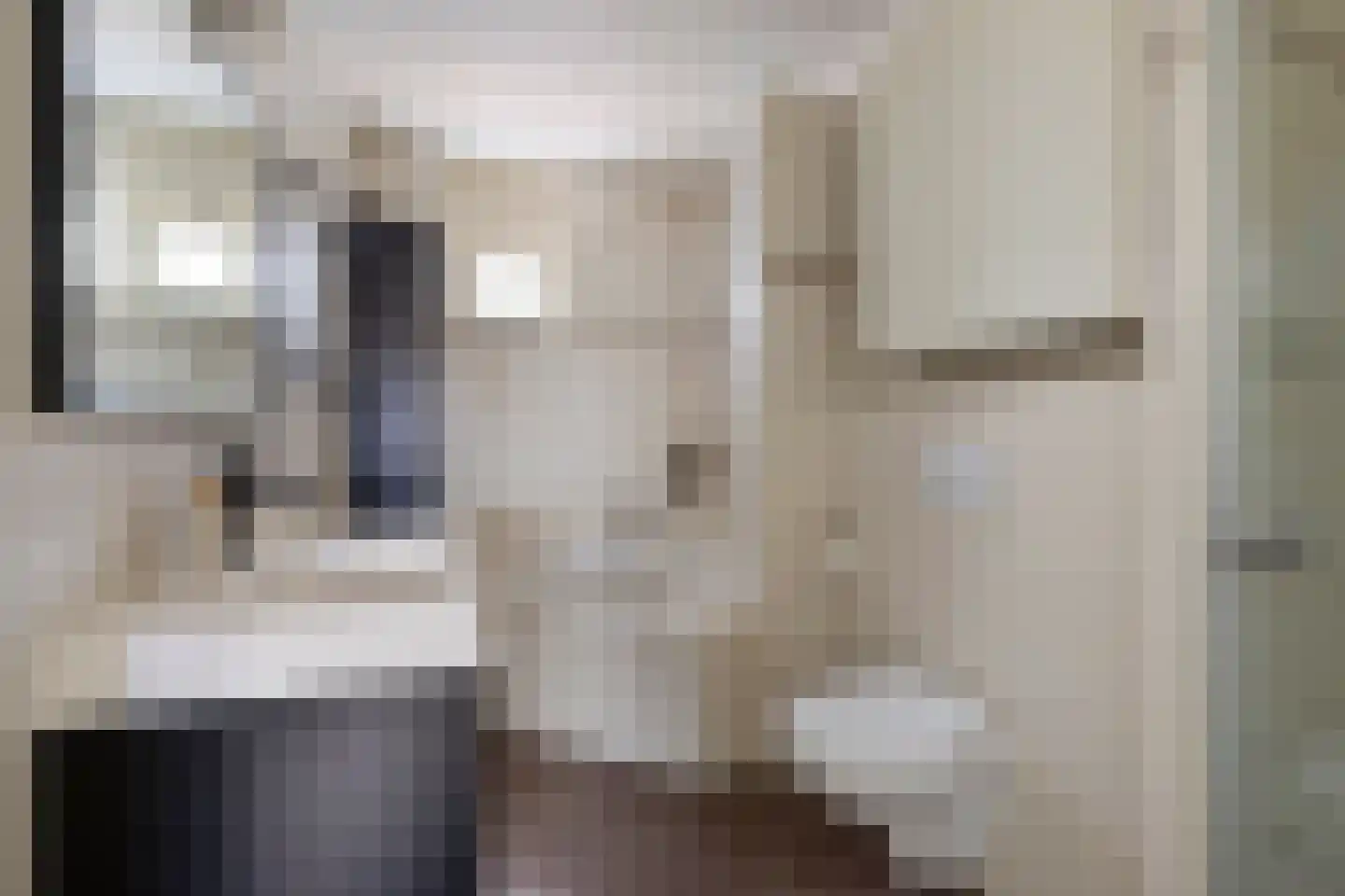 Uithof 8 Hedel thumbnail 21