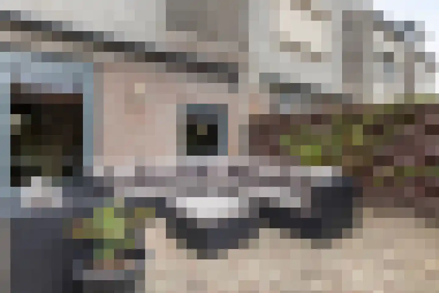 Uithof 8 Hedel thumbnail 27