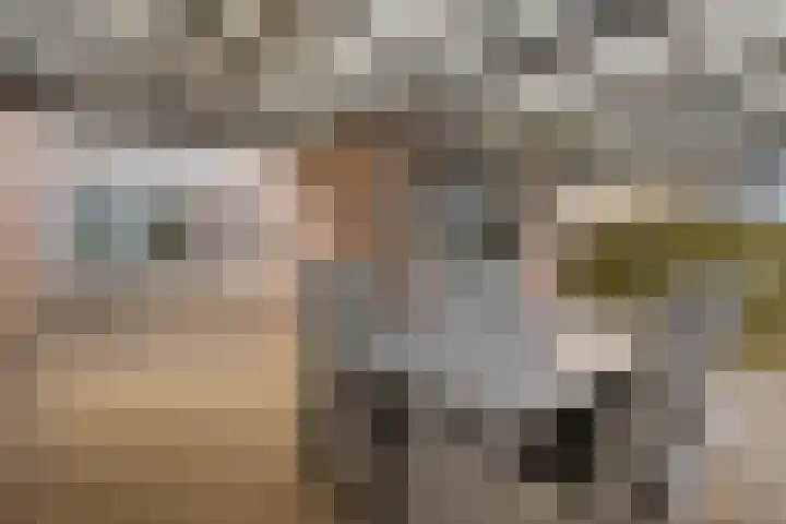 Uithof 84 Schoonebeek thumbnail 10