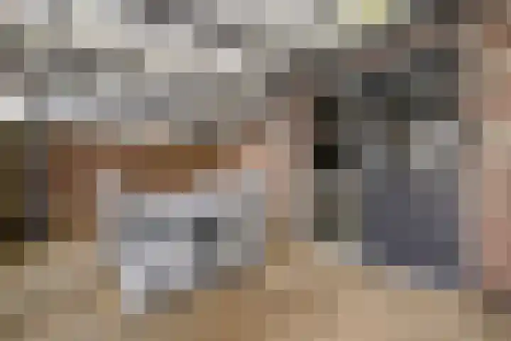 Uithof 84 Schoonebeek thumbnail 12
