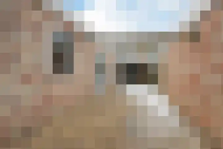 Uithof 84 Schoonebeek thumbnail 14