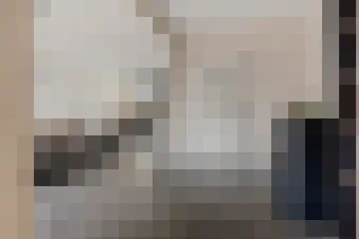 Uithof 84 Schoonebeek thumbnail 17