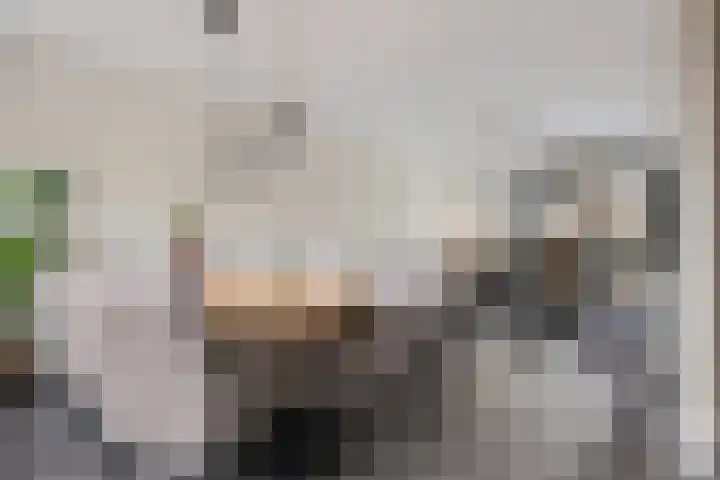 Uithof 84 Schoonebeek thumbnail 18