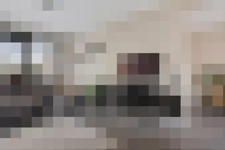 Uithof 84 Schoonebeek thumbnail 19