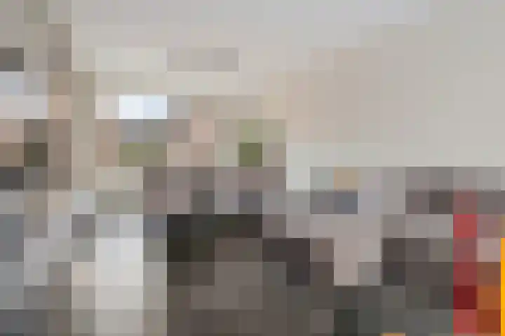 Uithof 84 Schoonebeek thumbnail 22