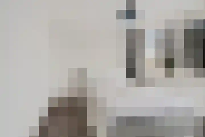 Uithof 84 Schoonebeek thumbnail 38