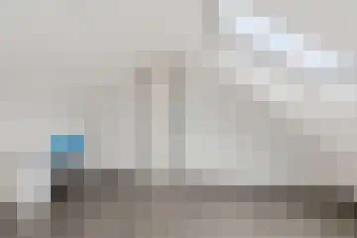 Uithof 84 Schoonebeek thumbnail 44