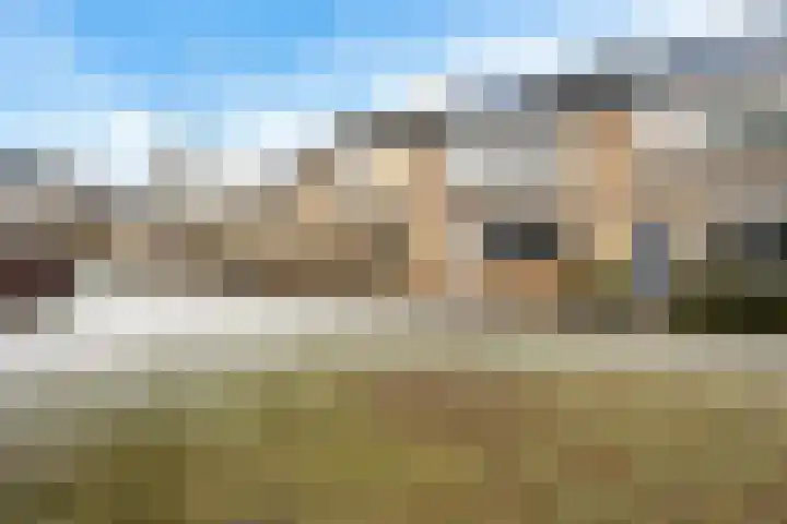Uithof 84 Schoonebeek thumbnail 7