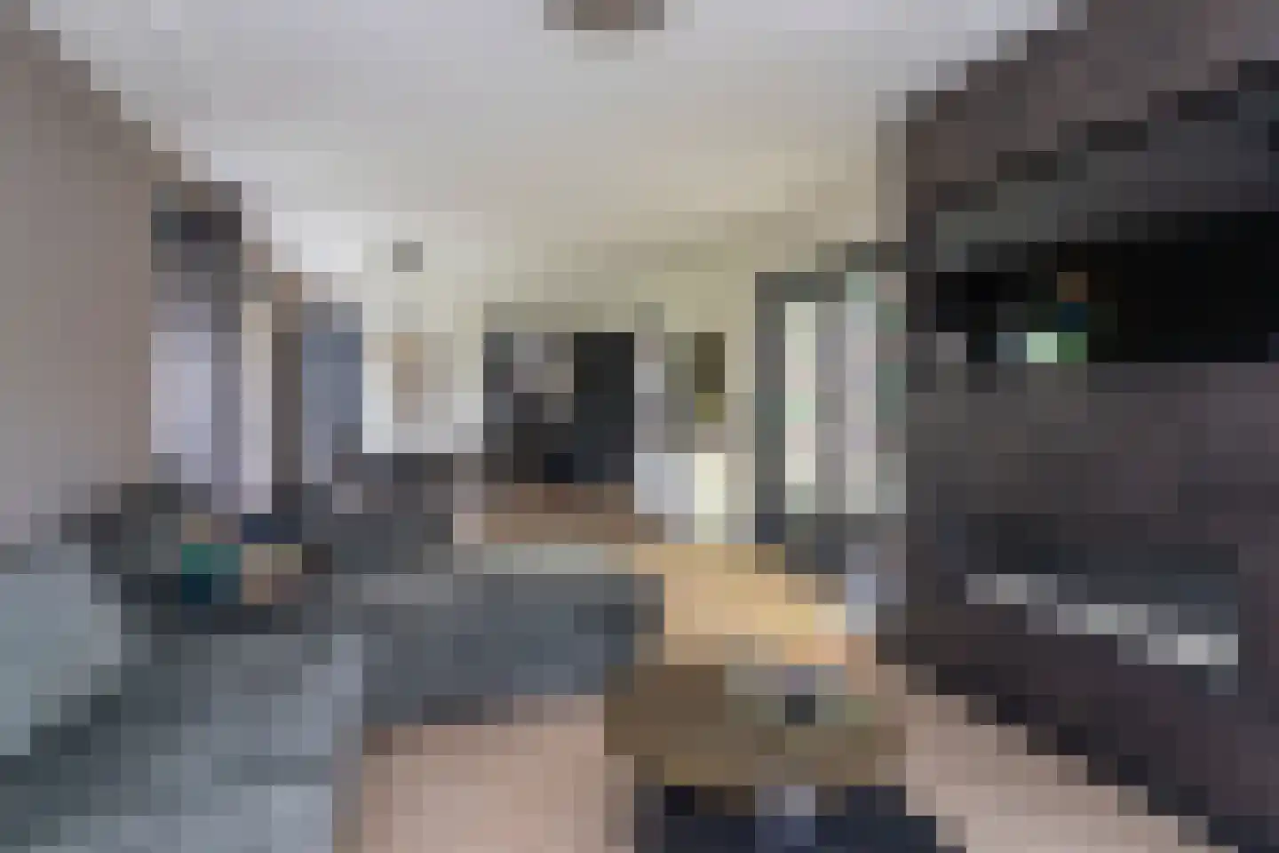Uithofslaan 44 Den Haag thumbnail 15