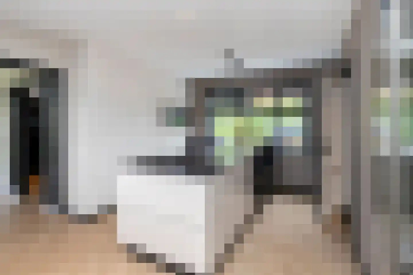 Uithofslaan 44 Den Haag thumbnail 18