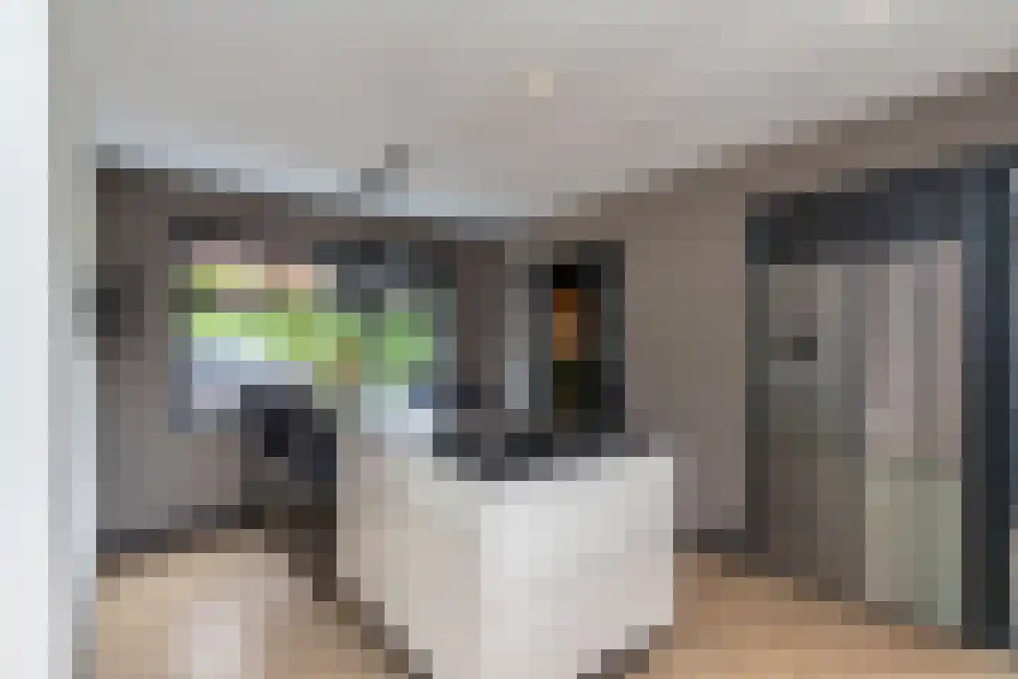 Uithofslaan 44 Den Haag thumbnail 19