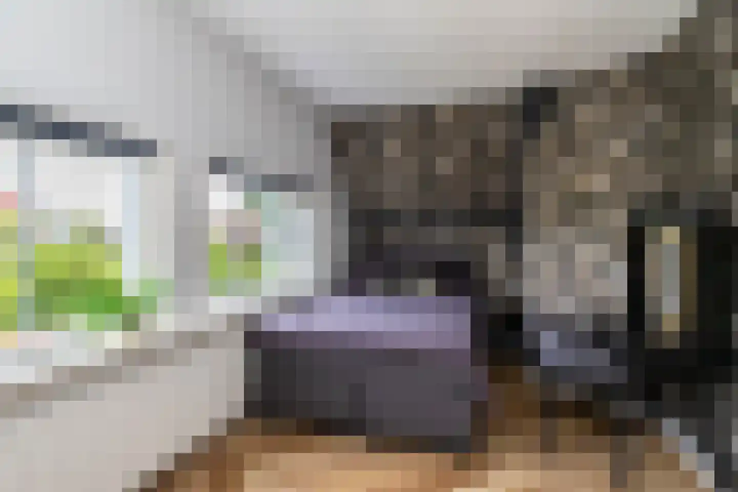 Uithofslaan 44 Den Haag thumbnail 33