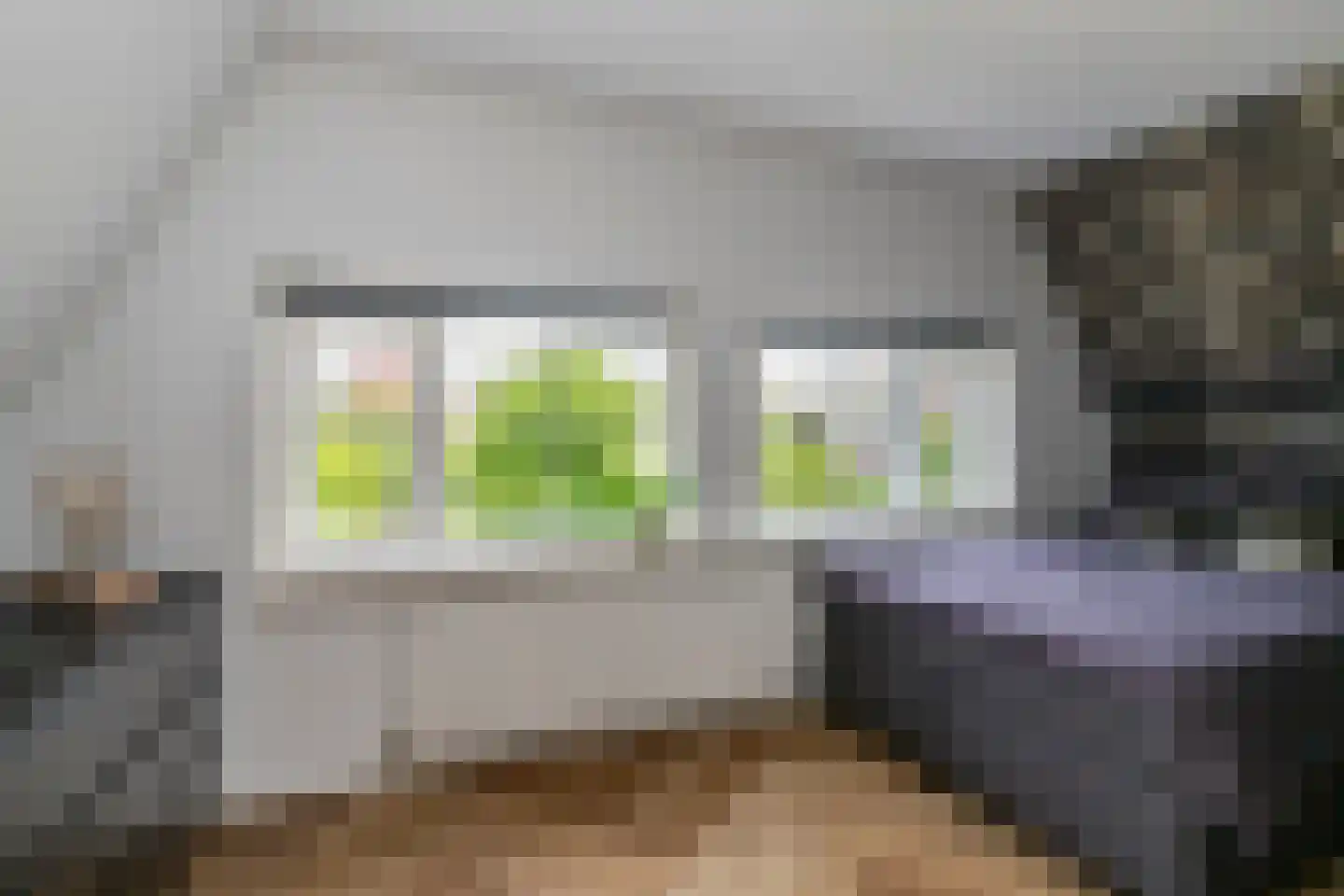 Uithofslaan 44 Den Haag thumbnail 34