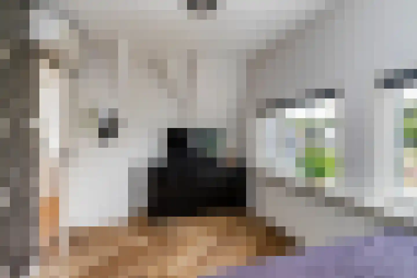 Uithofslaan 44 Den Haag thumbnail 35