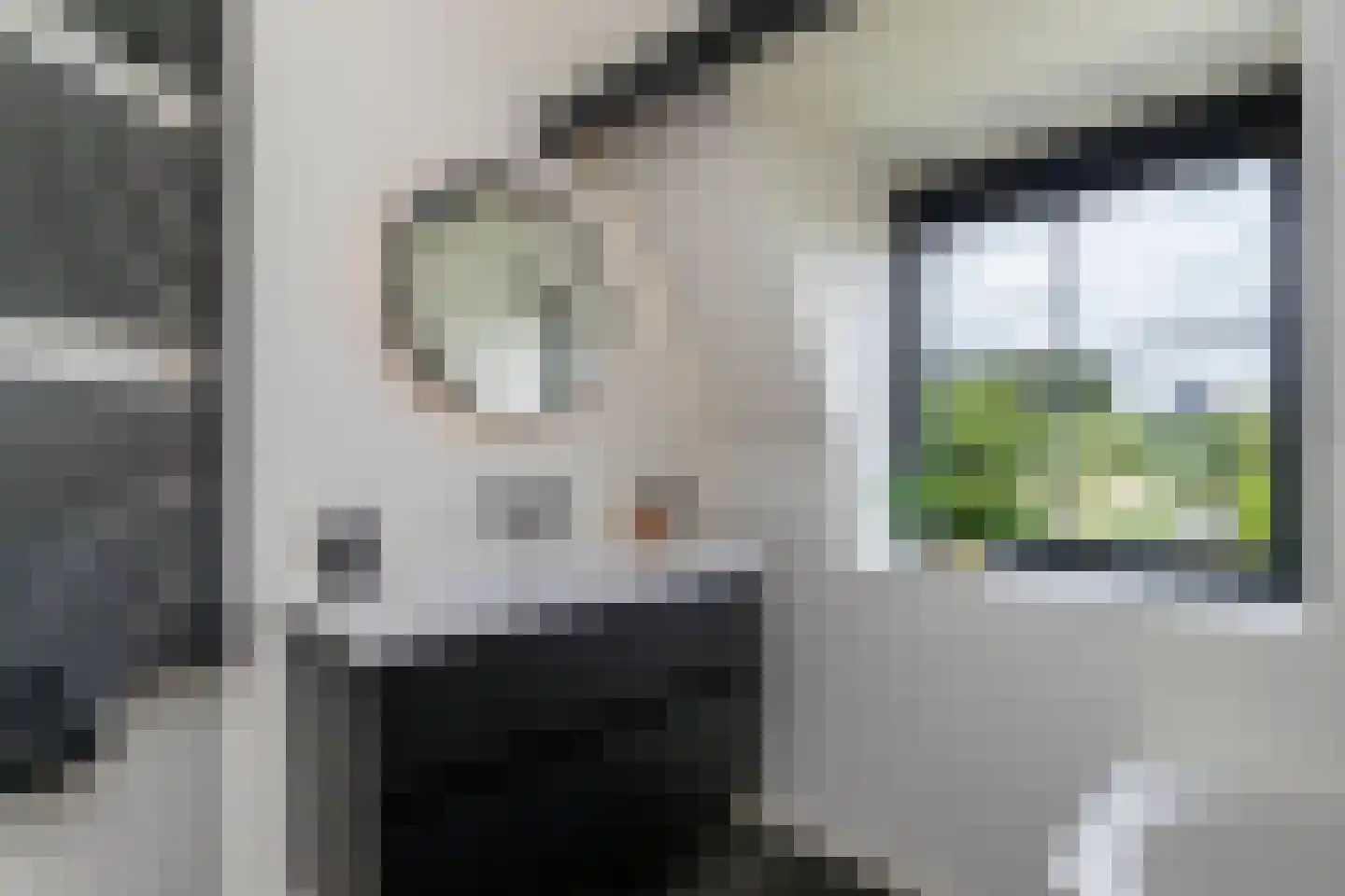 Uithofslaan 44 Den Haag thumbnail 39