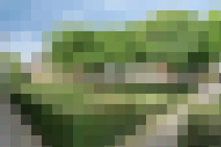 Uithoornseweg 25 Helmond thumbnail 41