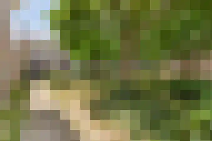 Uithoornseweg 25 Helmond thumbnail 6