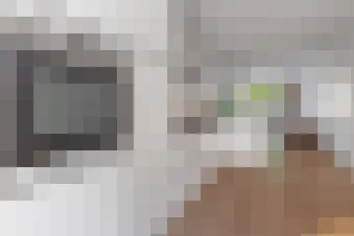Uithoornstraat 11 2 Amsterdam thumbnail 13